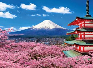 Thời điểm lý tưởng nhất để đi du lịch Nhật Bản là khi nào? Mùa nào đẹp?