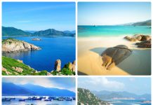 Du lịch Nha Trang biển xanh bao la quyến rũ du lich nha trang